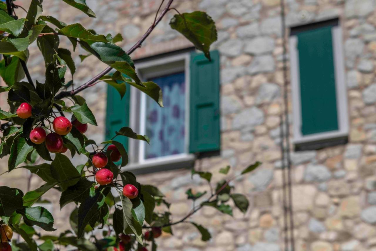 Podere Pratizzoli Tole Exteriör bild