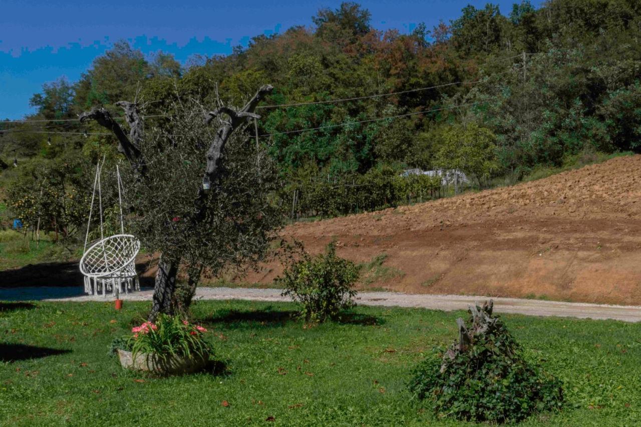 Podere Pratizzoli Tole Exteriör bild