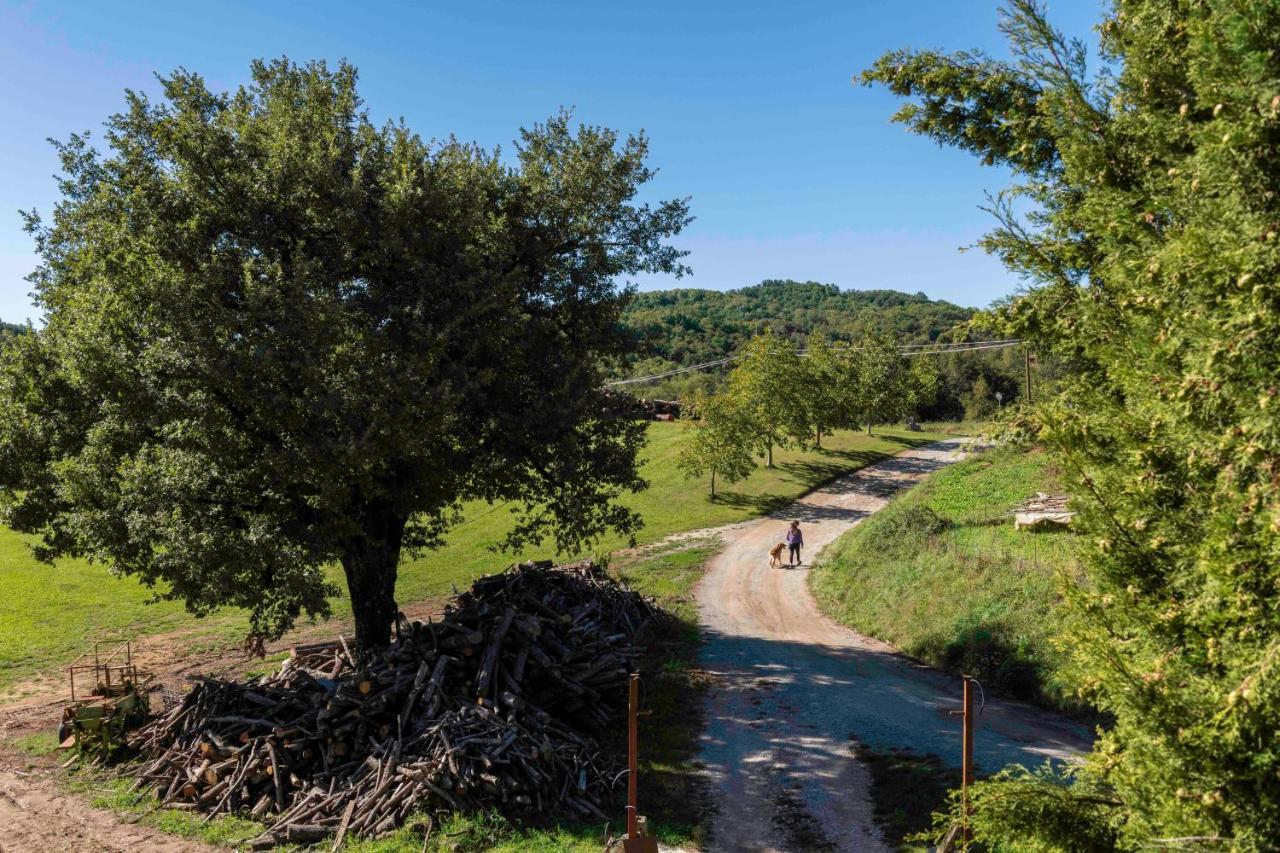 Podere Pratizzoli Tole Exteriör bild